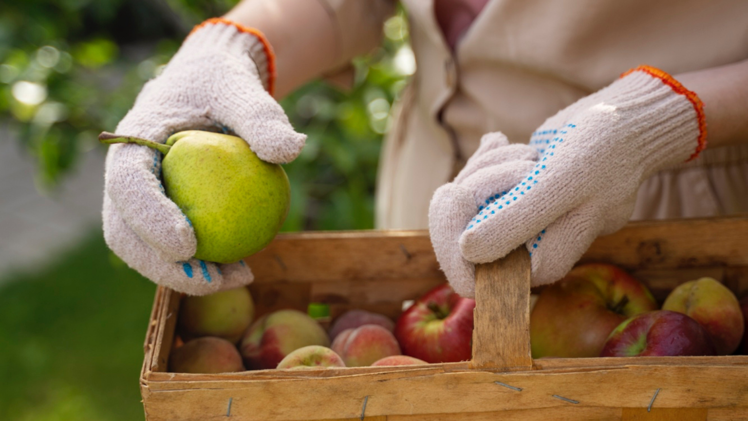 Noticias de la UE respecto a plaguicidas en los alimentos de origen vegetal y animal