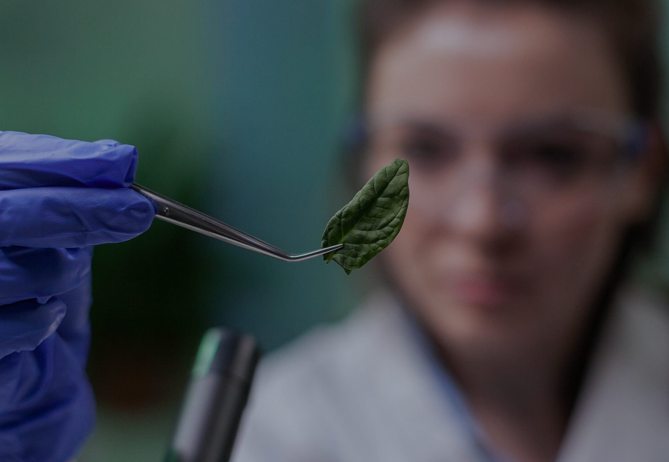 Investigación Floramatic